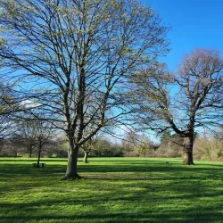 Nonsuch Park - Epsom