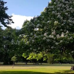 Rosebery Park - Epsom