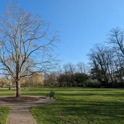 Rosebery Park - Epsom