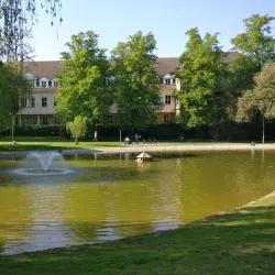 Rosebery Park - Epsom