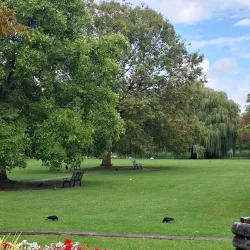 Rosebery Park - Epsom