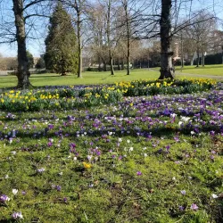 Rosebery Park - Epsom