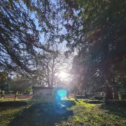 St Martin's Church - Epsom