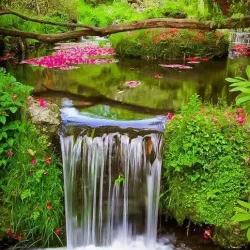 Dartmoor National Park (near Exeter) - Exeter