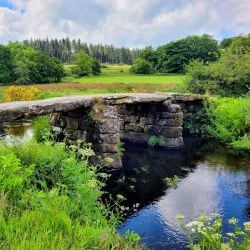 Dartmoor National Park (near Exeter) - Exeter