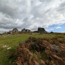 Dartmoor National Park (near Exeter) - Exeter