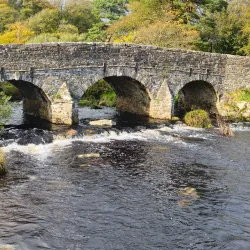 Dartmoor National Park (near Exeter) - Exeter