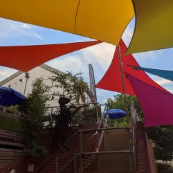 Exeter Phoenix - Exeter