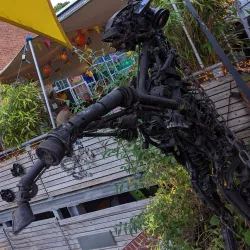 Exeter Phoenix - Exeter