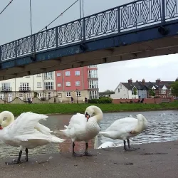 Exeter Quay - Exeter