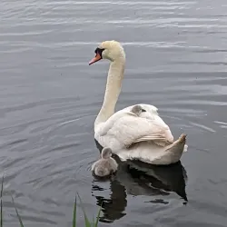 Exeter Riverside Valley Park - Exeter