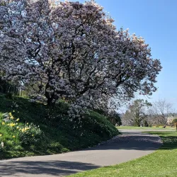 Northernhay Gardens - Exeter