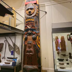 Royal Albert Memorial Museum & Art Gallery - Exeter