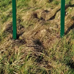 Fakenham Golf Club - Fakenham