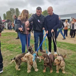 Fakenham Racecourse - Fakenham