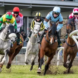 Fakenham Racecourse - Fakenham