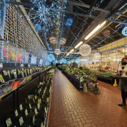 Fakenham Water Gardens - Fakenham