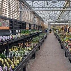 Fakenham Water Gardens - Fakenham