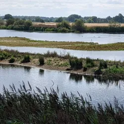 Pensthorpe Natural Park - Fakenham