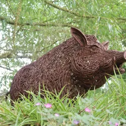 Pensthorpe Natural Park - Fakenham