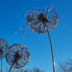 Pensthorpe Natural Park - Fakenham