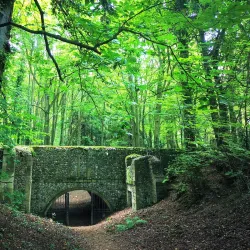 Walsingham Abbey - Fakenham