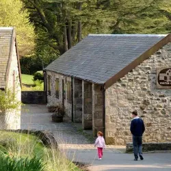 Muiravonside Country Park - Falkirk