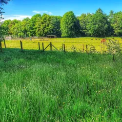 Muiravonside Country Park - Falkirk