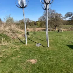 Muiravonside Country Park - Falkirk