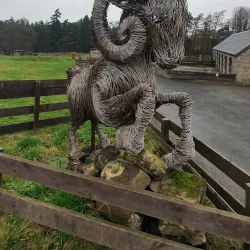 Muiravonside Country Park - Falkirk