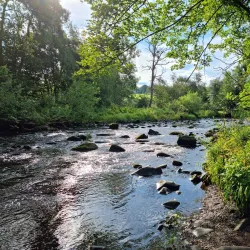 Muiravonside Country Park - Falkirk