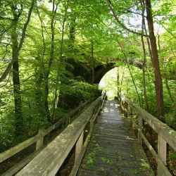 Muiravonside Country Park - Falkirk