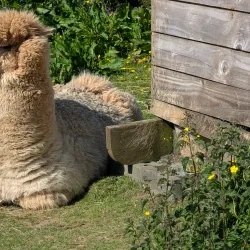 Muiravonside Country Park - Falkirk
