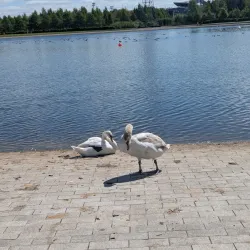 The Helix Park - Falkirk