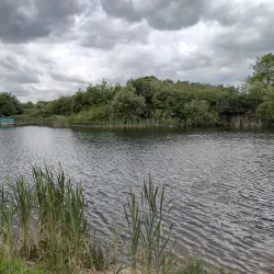 Cams Hall Estate - Fareham