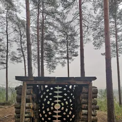 Bourne Wood - Farnham