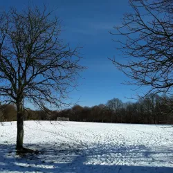 Farnham Park - Farnham