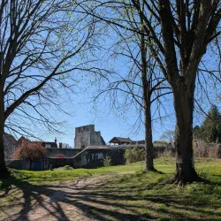 Farnham Park - Farnham