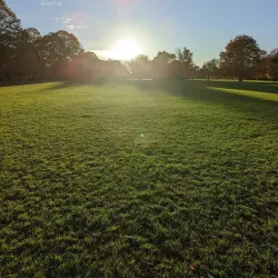 Farnham Park - Farnham