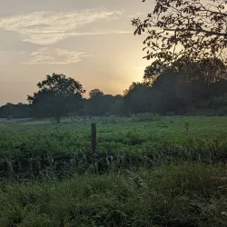 Farnham Park - Farnham