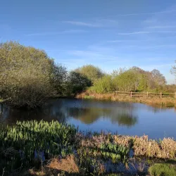 Farnham Park - Farnham