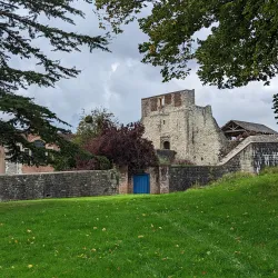 Farnham Park - Farnham