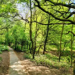 Farnham Park - Farnham