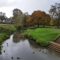 Gostrey Meadow - Farnham