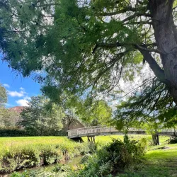 Gostrey Meadow - Farnham