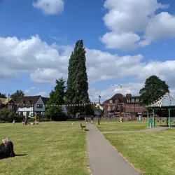 Gostrey Meadow - Farnham
