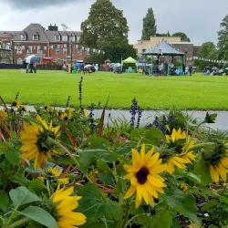 Gostrey Meadow - Farnham