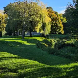 Gostrey Meadow - Farnham