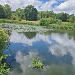 Waverley Abbey - Farnham