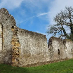 Waverley Abbey - Farnham